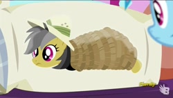 Size: 1920x1080 | Tagged: safe, derpibooru import, screencap, daring do, rainbow dash, pegasus, pony, season 6, stranger than fan fiction, 1080p, discovery family, discovery family logo, female, logo, mare, pillow, solo