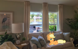 Size: 2048x1292 | Tagged: safe, artist:emper24, artist:jaredking779, derpibooru import, edit, applejack, earth pony, pony, cowboy hat, female, florida, hat, irl, jacksonville, lying down, mare, photo, pillow, ponies in real life, prone, raised hoof, raised leg, sofa, solo, stetson