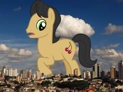 Size: 2048x1536 | Tagged: safe, artist:adamlhumphreys, artist:jaredking779, derpibooru import, cherry cola, cherry fizzy, earth pony, pony, background pony, brazil, giant pony, giant/macro earth pony, highrise ponies, irl, looking at you, macro, male, mega giant, photo, ponies in real life, raised hoof, raised leg, solo, stallion, são paulo