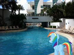 Size: 2048x1530 | Tagged: safe, artist:dashiesparkle, artist:jaredking779, derpibooru import, rainbow dash, pegasus, pony, butt, female, florida, hollywood, irl, mare, photo, plot, ponies in real life, smiling, solo, swimming pool, water