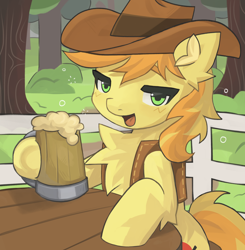 Size: 3000x3055 | Tagged: safe, artist:arasanka, derpibooru import, braeburn, earth pony, pony, braebetes, chest fluff, cider, cider mug, commission, cowboy hat, cute, drinking, drunk, fluffy, hat, looking at you, male, mug, outdoors, simple background, sitting, solo, stallion, two toned mane, ych result