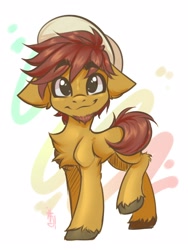 Size: 1200x1600 | Tagged: safe, artist:falafeljake, derpibooru import, oc, oc only, oc:comet thunder, earth pony, pony, abstract background, adorable face, chest fluff, commission, cute, ears, earth pony oc, facial hair, floppy ears, hat, looking at you, male, simple background, smiling, smiling at you, solo, standing, white background