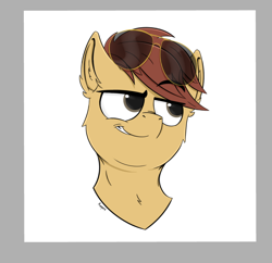 Size: 792x767 | Tagged: safe, artist:rapid9, derpibooru import, oc, oc only, oc:comet thunder, earth pony, pony, aviator sunglasses, bust, commission, grin, male, portrait, smiling, smug, solo, sunglasses, ych result