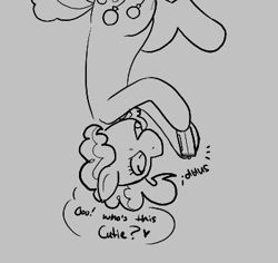 Size: 359x339 | Tagged: safe, artist:dsstoner, pinkie pie, earth pony, pony, aggie.io, camera, female, mare, monochrome, open mouth, simple background, smiling, talking, upside down