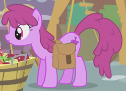 Size: 583x423 | Tagged: safe, derpibooru import, screencap, berry punch, berryshine, earth pony, pony, call of the cutie, season 1, apple, background pony, bag, berrybetes, cropped, cute, female, food, implied apple bloom, looking at someone, mare, saddle bag, solo, solo focus