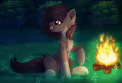 Size: 2500x1696 | Tagged: safe, artist:stormcloud, derpibooru import, oc, oc only, oc:pelmeshka, earth pony, pony, bonfire, brown mane, brown tail, chest fluff, coat markings, commission, dumplings, ear fluff, ears, earth pony oc, eating, female, fire, food, forest, forest background, full body, grass, grass field, looking at something, mare, mouth hold, night, open mouth, pale belly, raised hoof, raised leg, short mane, sitting, socks (coat marking), solo, spots, tail, tree