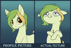 Size: 2252x1519 | Tagged: safe, artist:dusthiel, derpibooru import, oc, oc:dust wind, earth pony, pony, bags under eyes, ears, female, floppy ears, grin, looking at you, looking forward, mare, nervous, nervous grin, reality ensues, smiling, solo, stylus