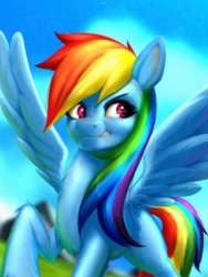 Size: 1536x2048 | Tagged: safe, artist:izalith_itxi, derpibooru import, rainbow dash, pegasus, pony, smiling, smirk, spread wings, wings