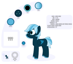 Size: 4213x3719 | Tagged: safe, artist:mrkm, derpibooru exclusive, derpibooru import, oc, oc only, oc:azure moon(mrkm), pegasus, pony, female, female symbol, filly, foal, folded wings, freckles, full body, pegasus oc, question mark, reference sheet, simple background, size comparison, smiling, solo, transparent background, unshorn fetlocks, wings