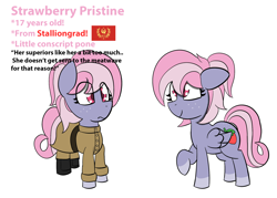 Size: 2100x1500 | Tagged: safe, artist:sapphireponipone, derpibooru import, oc, oc:strawberry pristine, pegasus, equestria at war mod, clothes, female, flag, freckles, mare, pegasus oc, reference sheet, simple background, solo, stalliongrad, standing, uniform, white background