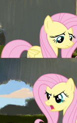 Size: 800x1280 | Tagged: safe, derpibooru import, edit, fluttershy, pegasus, for five minutes, meme, meme template, shrek, template