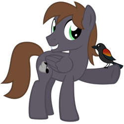 Size: 1200x1200 | Tagged: safe, artist:the smiling pony, derpibooru import, oc, oc only, oc:wingbeat, bird, pegasus, pony, .svg available, 2023 community collab, blackbird, brown mane, brown tail, derpibooru community collaboration, folded wings, full body, green eyes, grin, looking at you, male, pegasus oc, show accurate, simple background, smiling, smiling at you, solo, stallion, standing, svg, tail, three quarter view, transparent background, vector, wings