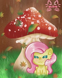 Size: 768x960 | Tagged: safe, artist:_niveria_, derpibooru import, fluttershy, pegasus, pony, female, grass, leaf, mare, mushroom, solo