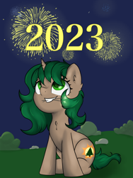 Size: 3000x4000 | Tagged: safe, artist:dumbwoofer, derpibooru import, oc, oc:pine shine, pony, unicorn, celebration, chest fluff, ear fluff, ears, female, fireworks, happy new year, high res, holiday, horn, looking up, mare, night, night sky, sky, smiling, solo, unicorn oc