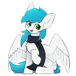 Size: 1600x1600 | Tagged: safe, artist:zylgchs, derpibooru exclusive, derpibooru import, oc, oc only, oc:cynosura, pegasus, 2023 community collab, clothes, derpibooru community collaboration, scarf, simple background, solo, transparent background