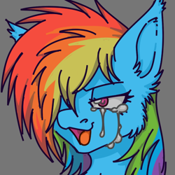 Size: 632x632 | Tagged: safe, artist:mechanakal, derpibooru exclusive, derpibooru import, rainbow dash, pegasus, pony, bust, cheek fluff, colored lineart, crying, ear fluff, ears, female, fluffy, gray background, hair over one eye, mare, open mouth, open smile, portrait, simple background, smiling, solo