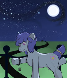 Size: 1106x1280 | Tagged: safe, artist:planetarium, derpibooru import, oc, oc only, oc:stilbruch tingle, earth pony, pony, accessories, earth pony oc, happy, moon, raised leg, simple background, smiling, solo, stars