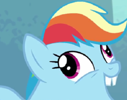 Size: 464x368 | Tagged: safe, derpibooru import, edit, edited screencap, screencap, rainbow dash, pegasus, pony, g4, newbie dash, season 6, bucktooth, cropped, derp, faic, rainbow dash is best facemaker, smiling, solo