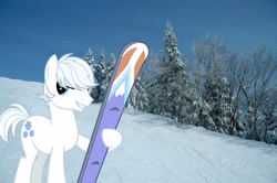 Size: 2048x1362 | Tagged: safe, artist:jaredking779, artist:vectorizedunicorn, derpibooru import, double diamond, earth pony, pony, irl, male, photo, ponies in real life, skis, snow, solo, stallion, stowe, vermont, winter