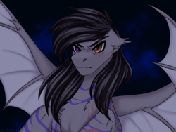 Size: 2160x1620 | Tagged: safe, artist:enderbee, derpibooru import, oc, oc only, bat pony, pony, angry, bat pony oc, bat wings, chest fluff, ear fluff, ears, heterochromia, scar, simple background, spread wings, wings