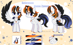 Size: 3303x2024 | Tagged: safe, artist:2pandita, derpibooru import, oc, oc only, alicorn, pony, alicorn oc, chest fluff, colored hooves, colored wings, cross, cross necklace, horn, jewelry, necklace, one wing out, reference sheet, solo, two toned wings, unshorn fetlocks, wings