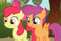 Size: 800x539 | Tagged: safe, derpibooru import, screencap, apple bloom, scootaloo, earth pony, pegasus, pony, season 1, the show stoppers, adorabloom, animated, apple bloom's bow, bow, cute, cutealoo, duo, duo female, female, filly, foal, hair bow, smiling