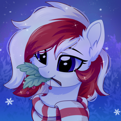 Size: 3500x3500 | Tagged: safe, artist:stormcloud, derpibooru import, oc, oc only, oc:red wine, pony, bust, christmas, clothes, commission, cute, ear fluff, ears, holiday, holly, holly mistaken for mistletoe, looking at something, mouth hold, portrait, scarf, sky, sky background, smiling, snow, snowfall, solo, striped scarf, two toned mane, ych result