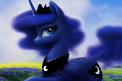 Size: 1920x1280 | Tagged: safe, derpibooru exclusive, derpibooru import, editor:dovakkins, generator:stable diffusion, machine learning generated, princess luna, alicorn, pony, beautiful, crown, ethereal mane, ethereal tail, female, field, galaxy mane, jewelry, looking at you, looking sideways, mare, peytral, profile, regalia, side view, smiling, smiling at you, solo, tail