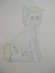 Size: 3120x4160 | Tagged: safe, artist:valuable ashes, derpibooru import, oc, oc only, earth pony, pony, armband, earth pony oc, solo, traditional art