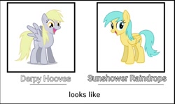 Size: 1042x622 | Tagged: safe, derpibooru import, edit, derpy hooves, sunshower raindrops, pegasus, pony, comparison, duo, duo female, female, looking at you