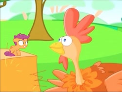Size: 951x717 | Tagged: safe, derpibooru import, edit, scootaloo, bird, chicken, pegasus, pony, campfire tales, abuse, bullying, child abuse, faic, haystack, not salmon, op is a cuck, op is trying to start shit, op isn't even trying anymore, scootabuse, scootachicken, shitposting, turkey, wat