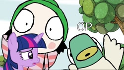 Size: 1080x607 | Tagged: safe, derpibooru import, edit, twilight sparkle, bird, duck, pony, confused, obligatory pony, op is a duck (reaction image), sarah and duck, wat, worried