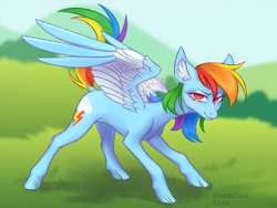 Size: 4444x3333 | Tagged: safe, artist:mammalian_alien, derpibooru import, rainbow dash, pegasus, pony, ear fluff, ears, female, looking at you, mare, outdoors, solo, spread wings, wings