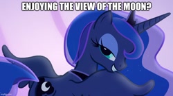 Size: 888x499 | Tagged: safe, derpibooru import, edit, edited screencap, screencap, princess luna, to where and back again, butt, caption, image macro, lidded eyes, moonbutt, solo, text