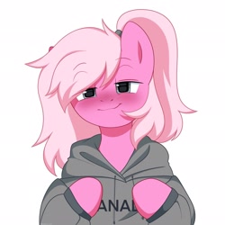 Size: 2048x2048 | Tagged: safe, artist:chickenbrony, derpibooru import, oc, oc only, earth pony, pony, blushing, canada, clothes, hoodie, looking at you, ponytail, simple background, smiling, solo, white background