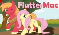 Size: 782x460 | Tagged: safe, artist:miyukiarts, derpibooru import, big macintosh, fluttershy, earth pony, pegasus, pony, blushing, cloud, cute, duo, eye clipping through hair, female, fluttermac, freckles, grass, looking at each other, looking at someone, macabetes, male, mare, one eye closed, raised hoof, raised leg, road, shipping, shyabetes, sky, smiling, smiling at each other, stallion, straight, straw in mouth, text, tree, walking