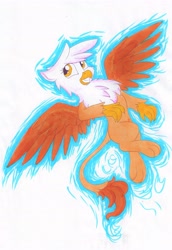 Size: 3132x4549 | Tagged: safe, artist:pzkratzer, derpibooru import, gilda, griffon, female, solo, traditional art