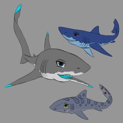 Size: 1280x1280 | Tagged: safe, artist:stray prey, derpibooru import, oc, oc only, oc:lacera viscera, oc:mako, oc:spring tide, shark, sharkified, species swap