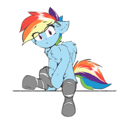 Size: 1200x1200 | Tagged: safe, artist:deafjaeger, derpibooru import, rainbow dash, pegasus, pony, chest fluff, clothes, cute, dashabetes, ear fluff, ears, ears back, female, looking at you, mare, simple background, sitting, socks, solo, surprised, white background, wings