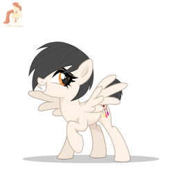 Size: 3000x3000 | Tagged: safe, artist:r4hucksake, derpibooru import, oc, oc only, oc:dreamcatcher, pegasus, pony, female, mare, simple background, solo, transparent background