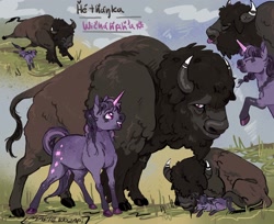 Size: 2048x1675 | Tagged: safe, artist:maplewozapi, derpibooru import, twilight sparkle, unicorn twilight, buffalo, bull, horse, unicorn, alternate design, alternate name, alternate universe, bison, cloven hooves, duo, father and child, father and daughter, female, male, mare, parent and child