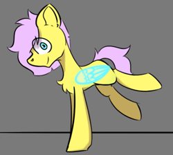 Size: 965x864 | Tagged: safe, artist:cotarsis, derpibooru import, fluttershy, pegasus, pony, chest fluff, gray background, looking at you, simple background, sketch, solo