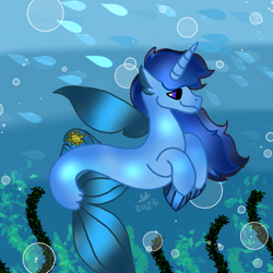 Size: 1000x1000 | Tagged: artist needed, source needed, safe, derpibooru import, oc, oc only, oc:blue thunder, alicorn, merpony, seapony (g4), bubble, dorsal fin, fin, fin wings, fins, fish tail, flowing mane, flowing tail, male, ocean, seaponified, seaweed, smiling, solo, species swap, stallion, tail, underwater, water, wings