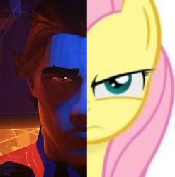 Size: 456x462 | Tagged: safe, derpibooru import, edit, fluttershy, barely pony related, face to face, female, fluttershy is not amused, male, marvel, miguel o'hara, photo, pinterest, side by side, spider-man, spider-man 2099, spider-man: across the spider-verse, unamused