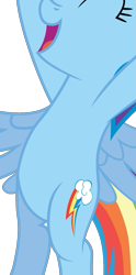 Size: 603x1220 | Tagged: safe, artist:chubble-munch, derpibooru import, edit, rainbow dash, pegasus, pony, belly, bipedal, cropped, open mouth, pictures of bellies, simple background, smiling, solo, standing up, transparent background, vector, vector edit