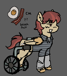 Size: 943x1064 | Tagged: safe, artist:lawldog, derpibooru import, pegasus, pony, breaking bad, gray background, ponified, simple background, solo, species swap, walter white jr, wheelchair