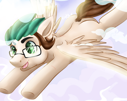 Size: 1280x1024 | Tagged: safe, artist:funky_furs, derpibooru import, oc, oc only, pegasus, pony, 2018, cloud, flying, gift art, glasses, male, open mouth, open smile, pegasus oc, scar, signature, smiling, solo, spread wings, stallion, tail, underhoof, wings