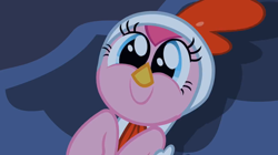 Size: 1364x766 | Tagged: safe, derpibooru import, screencap, pinkie pie, bird, chicken, earth pony, pony, luna eclipsed, animal costume, chicken pie, chicken suit, clothes, costume, cute, diapinkes, nightmare night, nightmare night costume, smiling