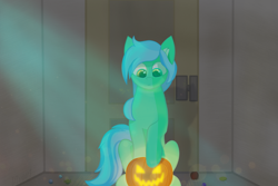 Size: 6000x4000 | Tagged: safe, artist:divori, derpibooru import, oc, oc only, oc:mint breeze, pony, candy, female, food, halloween, holiday, jack-o-lantern, mare, pumpkin, smiling, solo