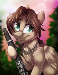 Size: 800x1035 | Tagged: safe, artist:mychelle, derpibooru import, oc, oc:alto stratus, pegasus, pony, clarinet, male, musical instrument, solo, stallion